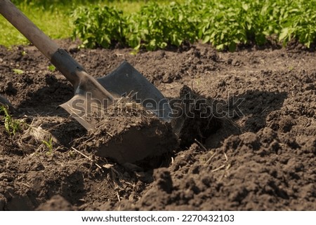 Garden shovel in ground loosen soil preparation. Farming garden work farm soil digging in garden spade soil shovel digging spade the earth. Shoveling dirt. Backyard gardening tools. Planting. Loosen Royalty-Free Stock Photo #2270432103