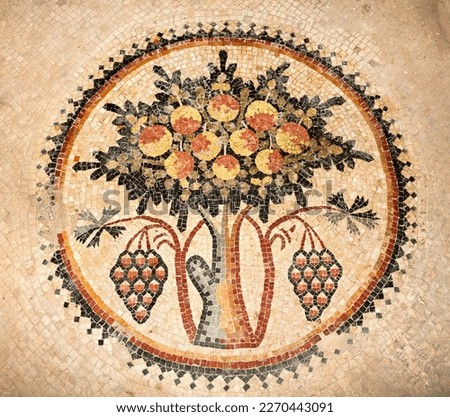 Famous floor mosaics in the city of mosaic, dated 6th centry. Madaba, Jordan  Royalty-Free Stock Photo #2270443091