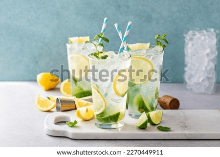 Lemon and lime mojito cocktail in tall glasses with lime and fresh mint Royalty-Free Stock Photo #2270449911