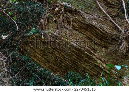 A stratum deep in the mountains that has been petrified over the years Royalty-Free Stock Photo #2270451515