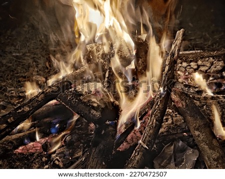 Bonfire using firewood warms the body in cold weather
