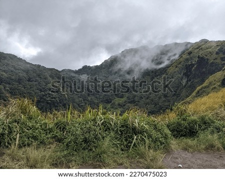 The way going to peak mountain, with Savana and foggy vibes. The photo is suitable to use for adventure content media, nature poster and forest background.