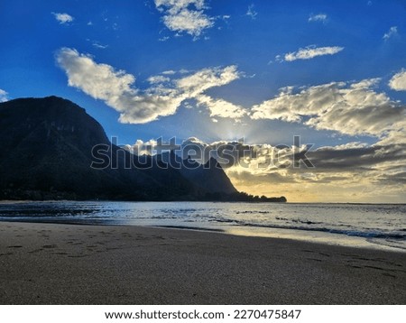 morning on a beach in hawaii