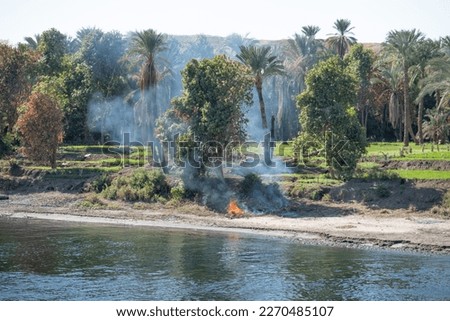 Bush Fire in Africa by the Nile River