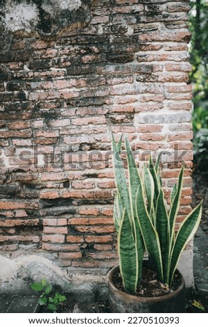 Beautiful classic clay Brick wall background