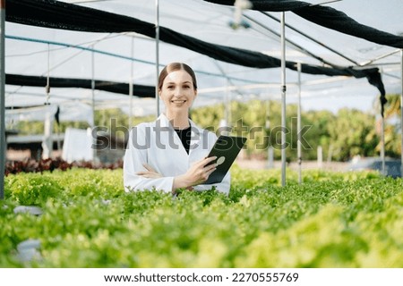 Researcher in white uniform are checking with ph strips in hydroponic farm and pH level scale graphic, science laboratory greenhouse concept. with VR icon

