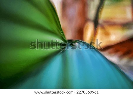Abstract colours and abstract photographs