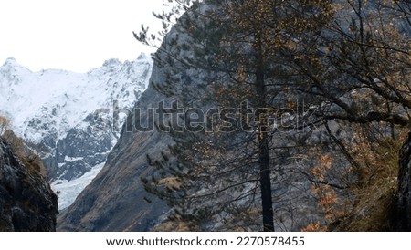 View of the high white mountain ranges. Creative. Take a walk in the gloomy cold weather high in the mountains with a number of growing trees.