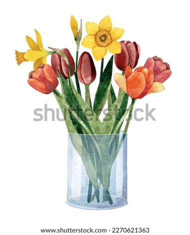 Watercolor hand painted illustration of spring bouquet with Tulip and Daffodil flowers in a glass vase. Isolated on white background. 