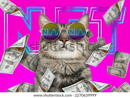 Cool cat under money shower on bright pink background. Abbreviation NFT reflecting in sunglasses