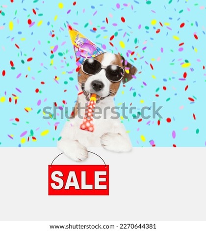 Happy jack russell terrier puppy wearing sunglasses and party cap blows into party horn, looks above empty white banner and showing signboard with labeled "sale"