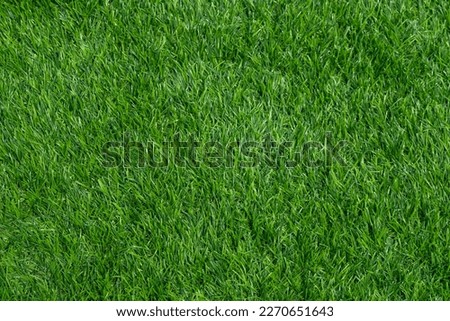 Green grass background, football field

