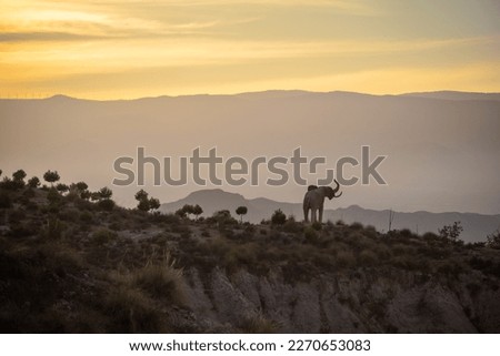 Landscape of mini Hollywood wild west theme park at sunset in the Tabernas Desert 
Travel Spain route of movie set locations 