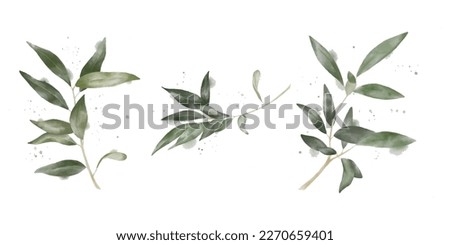 Watercolour set of olive branches. Paper texture. Botanical art for wedding decor, business cards and logos Royalty-Free Stock Photo #2270659401