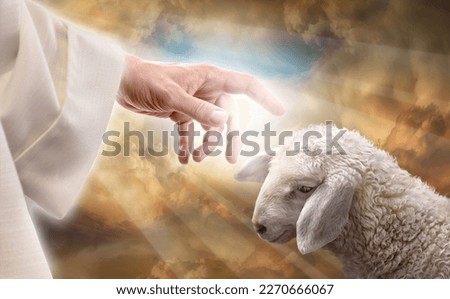 God reaching out to a lost sheep. Religious conceptual theme. Royalty-Free Stock Photo #2270666067