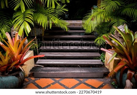 Old rustic wooden stairs in the garden.