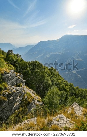 Landscape in the mountains with rocks, wildflowers, trees and blue sky on a sunny summer day. Dagestan, Russia.
