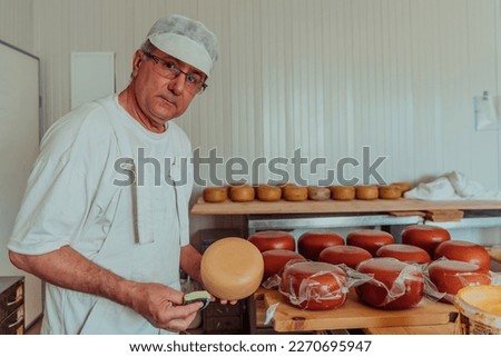 Cheese maker working in the industry for manual production of homemade cheese
