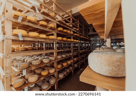 A large storehouse of manufactured cheese standing on the shelves ready to be transported to markets Royalty-Free Stock Photo #2270696141