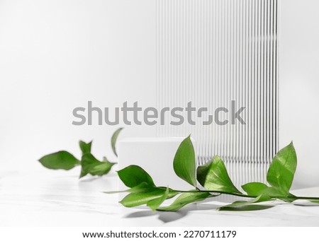 White minimal scene for beauty cosmetic product presentation made with white cube podium and green leaves on white background.