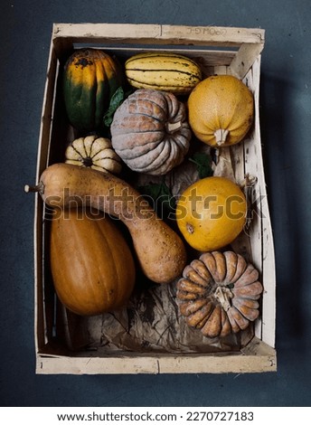 Box of pumpkins, squash, and gourds 