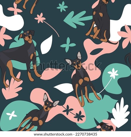 Mini Pinscher dog wallpaper with leaves, palms, flowers, plants.Pastel green, pink, navy. Holiday abstract natural shapes. Seamless floral background with dogs, repeatable pattern. Birthday wallpaper.