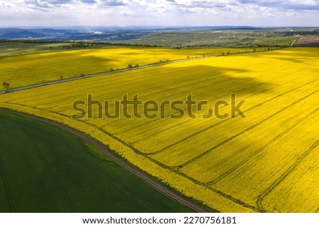 Aerial shot of fields with a tractor traces on the agricultural field sowing. 