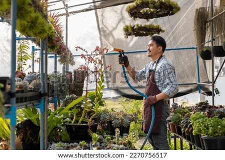 Asian gardener is watering the succulent plant inside his glasshouse using hose for hobby and ornamental garden business concept