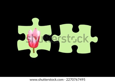 Two jigsaw puzzle pieces with tulip flower in one piece. Ideas, solving tasks, teamwork, partnership and connection or environmental concept