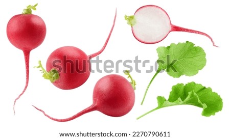Radish isolated on white background, clipping path, full depth of field Royalty-Free Stock Photo #2270790611