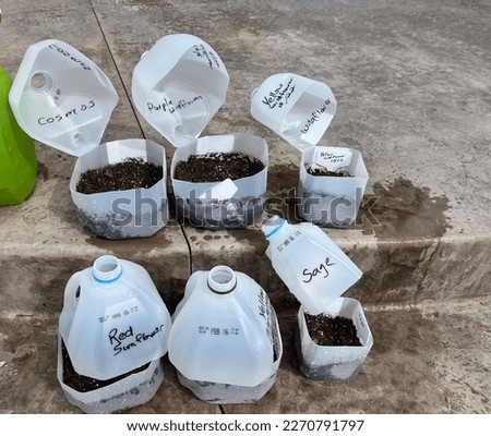 Outdoor winter seed sowing using plastic jugs as little greenhouses allowing cold stratification and early seeds sprouting for strong Spring plants. Royalty-Free Stock Photo #2270791797