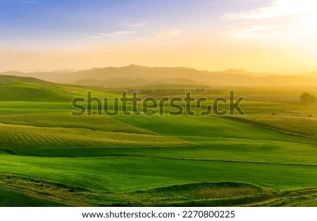 beautiful green valley with green fields with green spring grass with nive hills and mountains and scrnic colorful cloudy sunset on background of landscape Royalty-Free Stock Photo #2270800225