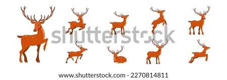 Brown Deer with Antlers and Slender Legs in Standing and Jumping Pose Vector Set Royalty-Free Stock Photo #2270814811