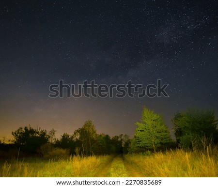 small ground road in forest under starry sky, night outdoor landscape
