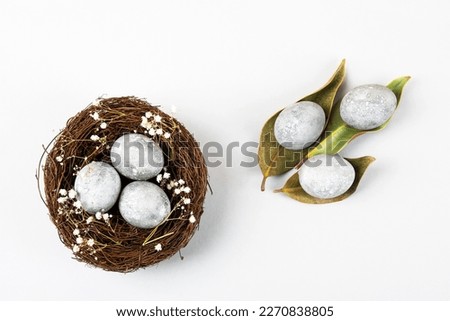 Brown nest of twigs with three gray Easter eggs, feathers, dried magnolia leaves and sprigs of gypsophila on gray background. Minimalistic Easter concept