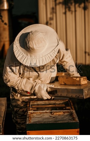 Beekeeper working collects honey. Beekeeping industry concept