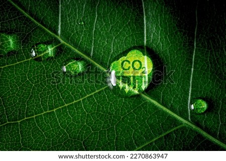 CO2 reducing icon on green leaf with water droplet for decrease CO2 , carbon footprint and carbon credit to limit global warming from climate change, Bio Circular Green Economy concept. Royalty-Free Stock Photo #2270863947