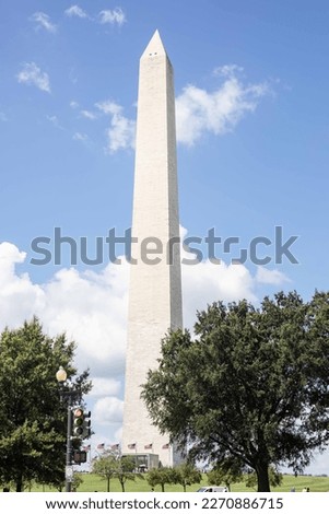 Photos from Presidents Park and the Washington Monument in Washington D.C., USA.