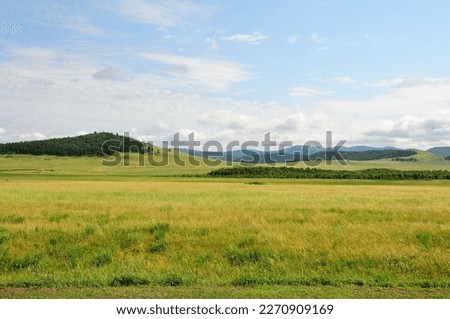 Huge steppe with rare high hills with slopes partly overgrown with coniferous forest under a sunny summer sky. Khakassia, Siberia, Russia. Royalty-Free Stock Photo #2270909169