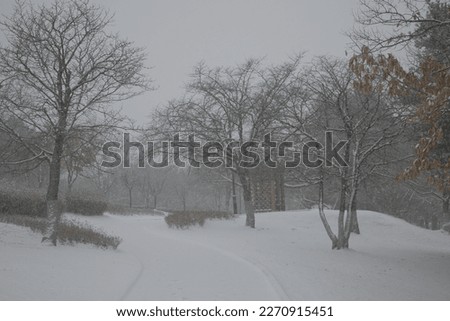 Beautiful snow view and winter view  in the park