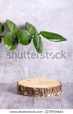 Natural mock-up of a tree cut and a branch with leaves on a gray background. Vertical view
