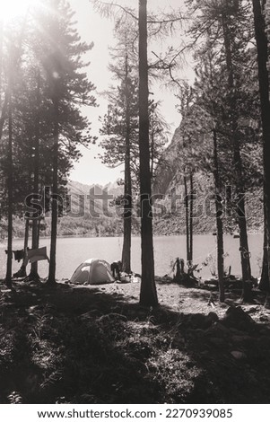 A black-and-white photo of a tourist tent in the forest on the shore of the alpine lake Shavlinskoe with tourist clothes drying on a rope in the evening in the shade in the mountains in the sun.