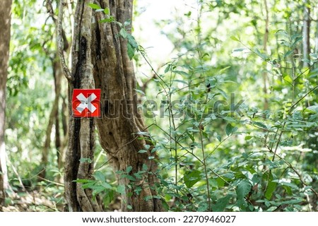 Shot of trunk of tree with a white x sign painted on the red board. One tree in green forest marked with white X. 
