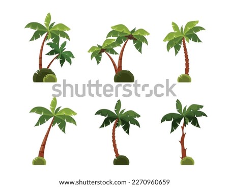 Set of different palm trees in cartoon style. Vector illustration of beautiful green palm trees with coconuts isolated on white background. Tropical coconut trees.