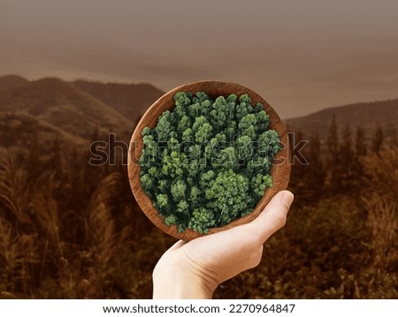 Sustainable food concept on blurred nature background, plant based, Green food, eco living, environmental, Elements of this image furnished by NASA