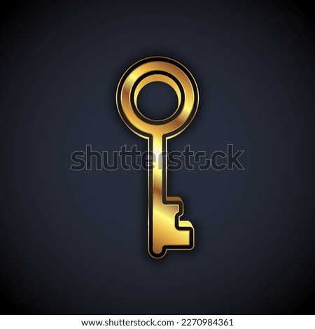 Gold Old key icon isolated on black background.  Vector