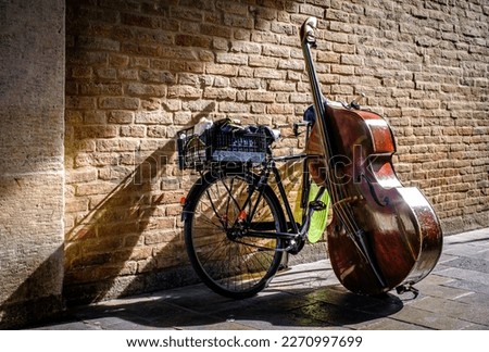 cello and bike in front of a wall - photo