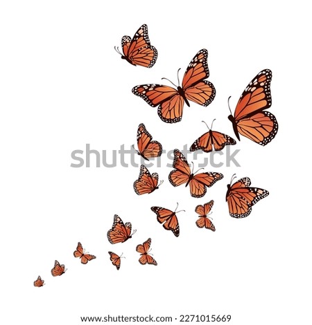 realistic background butterfly vector illustration design