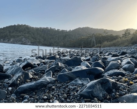 close-up view of rocky beach with stones and dense forest in the background