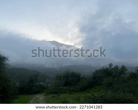 view of a country road surrounded by a wild forest with a mountain in the fog in the background
